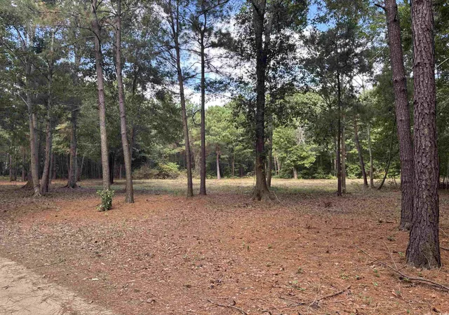 Photo 4 of Land for sale at Tbd Bourne Trl, North Myrtle Beach, SC 29582 | MLS# 2524531 | Listing updated on 2025-10-08
