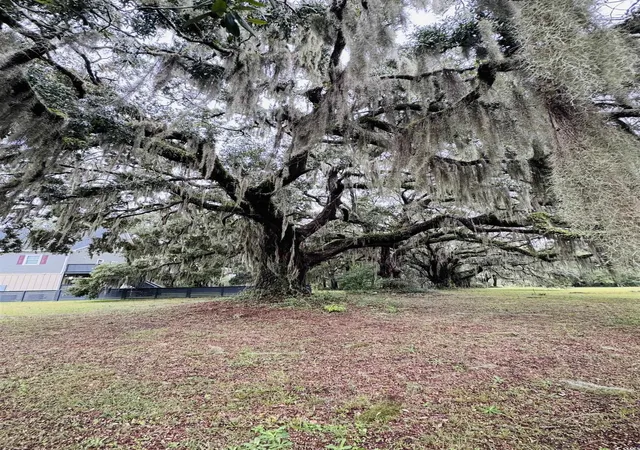 25th image of Lot 50 Oak Bay Dr, Georgetown, SC 29440 | MLS# 2524921