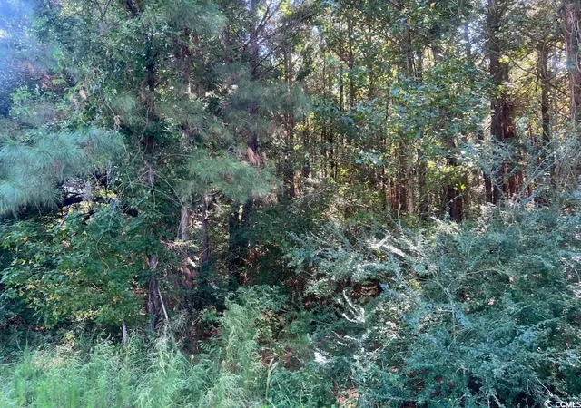 Photo 1 of Sale Pending at Tbd Mill Berry Ln, Conway, SC 29526 | MLS# 2525270 | Listing updated on 2026-09-16
