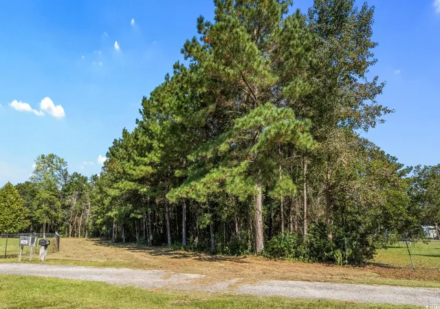 Photo 3 of Land for sale at Tbd Hwy 472, Conway, SC 29526 | MLS# 2525364 | Listing updated on 2026-08-22