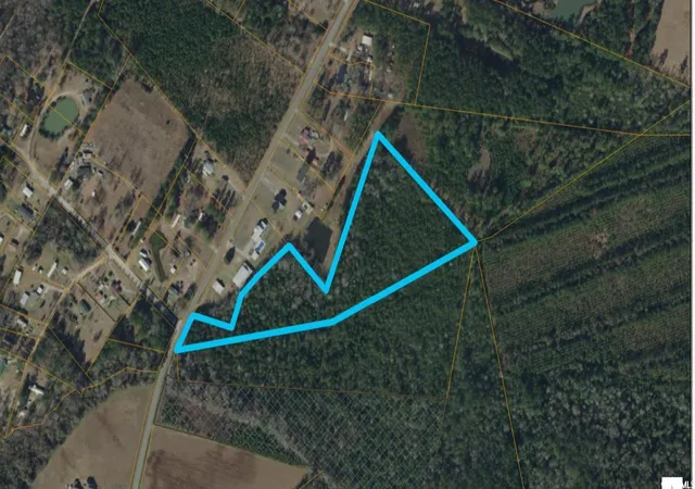 Homes for sale in Galivants Ferry, SC | Tbdparcel #3 Amber Ln, Galivants Ferry, SC 29544 | MLS# 2525506