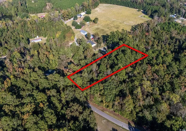 Homes for sale in Andrews, SC | Tbd Barnes Rd, Andrews, SC 29510 | MLS# 2525783