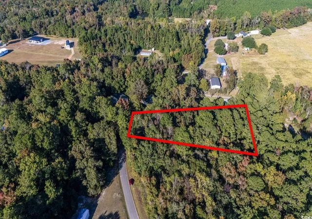 Homes for sale in Andrews, SC | Tbd Barnes Rd, Andrews, SC 29510 | MLS# 2525783