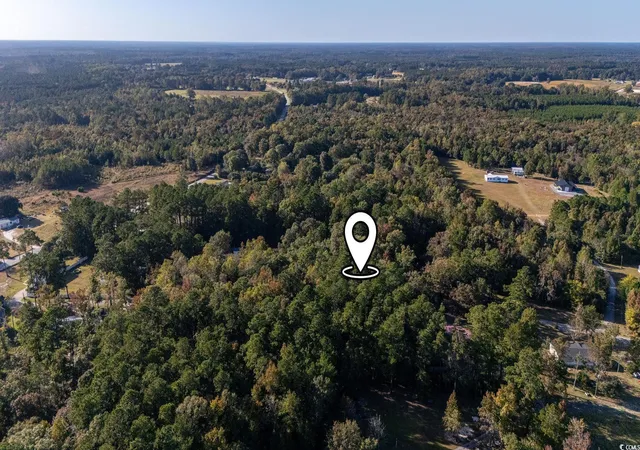 Homes for sale in Andrews, SC | Tbd Barnes Rd, Andrews, SC 29510 | MLS# 2525783