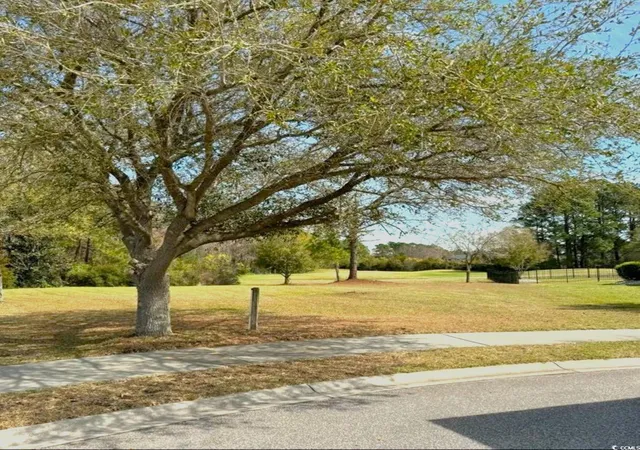 Photo 1 of Sale Pending at 1005 Whooping Crane Dr, Conway, SC 29526 | MLS# 2525796 | Listing updated on 2026-07-23