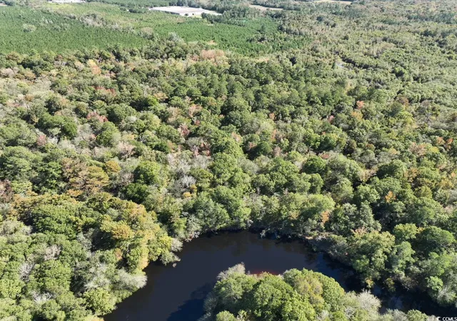 Photo 3 of Land for sale at Martin Luther King Jr Hwy, Kingstree, SC 29556 | MLS# 2525832 | Listing updated on 2026-07-22