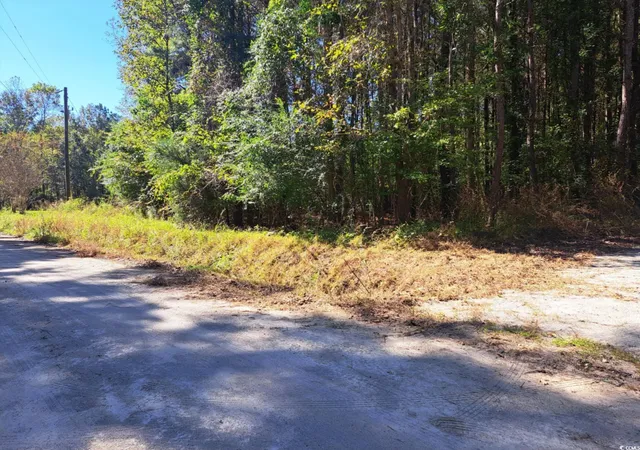 Homes for sale in Green Sea, SC | Tbd Southfork Rd, Green Sea, SC 29545 | MLS# 2525863