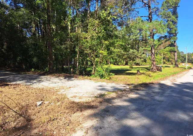 Homes for sale in Green Sea, SC | Tbd Southfork Rd, Green Sea, SC 29545 | MLS# 2525863