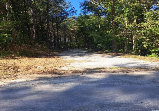 Homes for sale in Green Sea, SC | Tbd Southfork Rd, Green Sea, SC 29545 | MLS# 2525863
