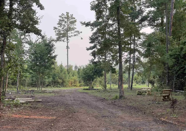 Photo 1 of Land for sale at 5241 Cates Bay Hwy, Conway, SC 29527 | MLS# 2526045 | Listing updated on 2026-08-24