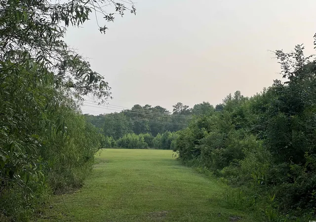 Photo 3 of Land for sale at 5241 Cates Bay Hwy, Conway, SC 29527 | MLS# 2526045 | Listing updated on 2026-08-24