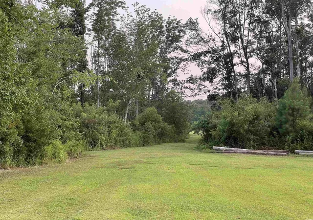 Photo 4 of Land for sale at 5241 Cates Bay Hwy, Conway, SC 29527 | MLS# 2526045 | Listing updated on 2026-08-24