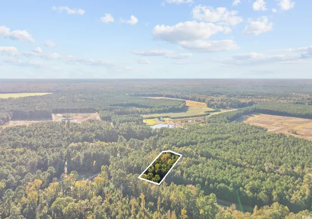 Homes for sale in Conway, SC | Tbd Mahalia Dr, Conway, SC 29527 | MLS# 2526100