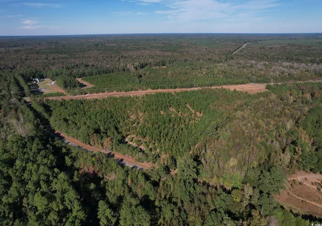 Homes for sale in Nichols, SC | Tbd Sand Plant Rd, Nichols, SC 29581 | MLS# 2526193