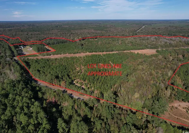 Homes for sale in Nichols, SC | Tbd Sand Plant Rd, Nichols, SC 29581 | MLS# 2526193