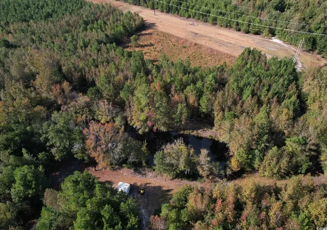 Homes for sale in Nichols, SC | Tbd Sand Plant Rd, Nichols, SC 29581 | MLS# 2526193