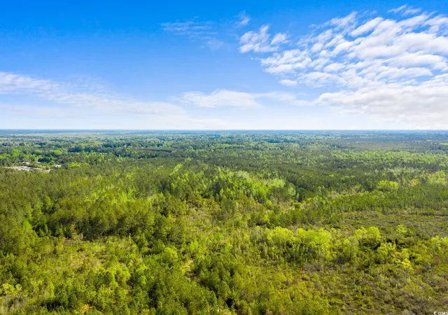 Photo 3 of Land for sale at Tbd Water Tower Rd, Longs, SC 29568 | MLS# 2526383 | Listing updated on 2026-05-22