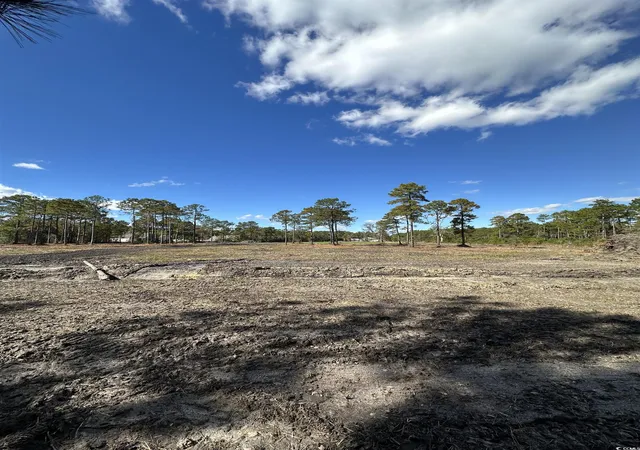Photo 3 of Land for sale at 9201 Freewoods Rd, Myrtle Beach, SC 29588 | MLS# 2527052 | Listing updated on 2025-11-10