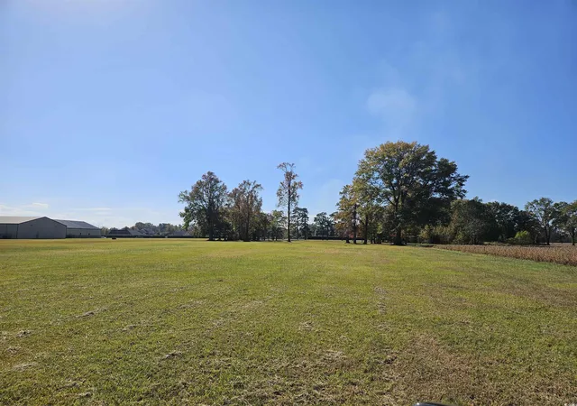 Homes for sale in Lake City, SC | 59ac W Main St, Lake City, SC 29560 | MLS# 2527404