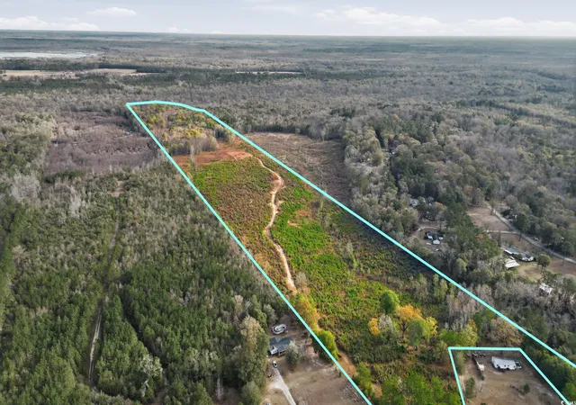 Homes for sale in Pamplico, SC | Tbd N Old River Rd, Pamplico, SC 29583 | MLS# 2528778