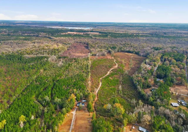 Homes for sale in Pamplico, SC | Tbd N Old River Rd, Pamplico, SC 29583 | MLS# 2528778
