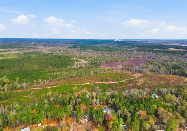 Homes for sale in Pamplico, SC | Tbd N Old River Rd, Pamplico, SC 29583 | MLS# 2528778