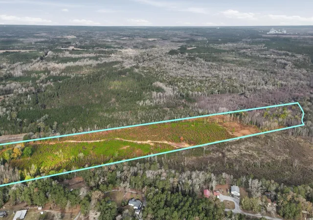 Homes for sale in Pamplico, SC | Tbd N Old River Rd, Pamplico, SC 29583 | MLS# 2528778