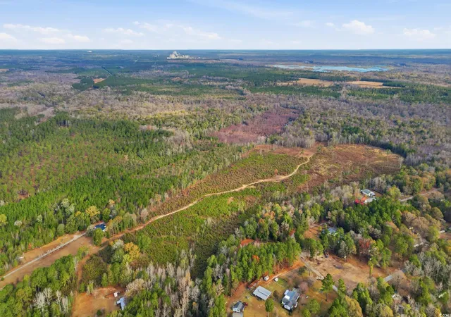 Homes for sale in Pamplico, SC | Tbd N Old River Rd, Pamplico, SC 29583 | MLS# 2528778