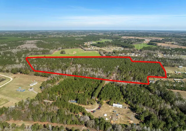Photo 2 of Sale Pending at Tbd   Lot 1 Daphane Dr, Loris, SC 29569 | MLS# 2528969 | Listing updated on 2026-09-15