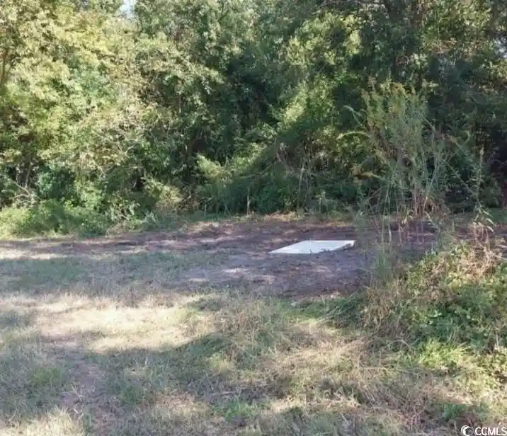 Photo 1 of Land for sale at Lot 1 Davis Ln, Mullins, SC 29574 | MLS# 2529262 | Listing updated on 2026-10-15