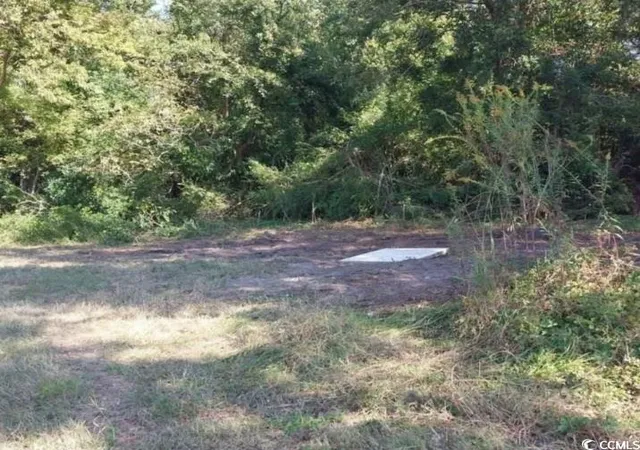 Homes for sale in Mullins, SC | Lot 1 Davis Lane, Mullins, SC 29574 | MLS# 2529262
