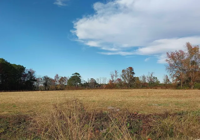 Homes for sale in Mullins, SC | Lot 1 Davis Lane, Mullins, SC 29574 | MLS# 2529262
