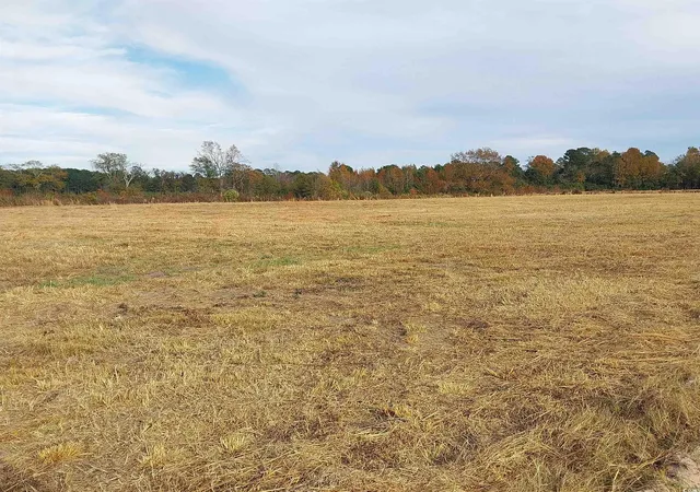 3rd image of Lot 1 Davis Lane, Mullins, SC 29574 | MLS# 2529262