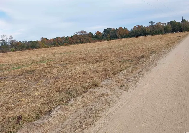 4th image of Lot 1 Davis Lane, Mullins, SC 29574 | MLS# 2529262