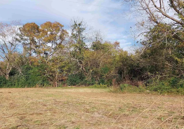 5th image of Lot 1 Davis Lane, Mullins, SC 29574 | MLS# 2529262