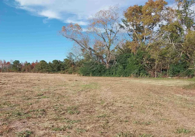 Homes for sale in Mullins, SC | Lot 1 Davis Lane, Mullins, SC 29574 | MLS# 2529262