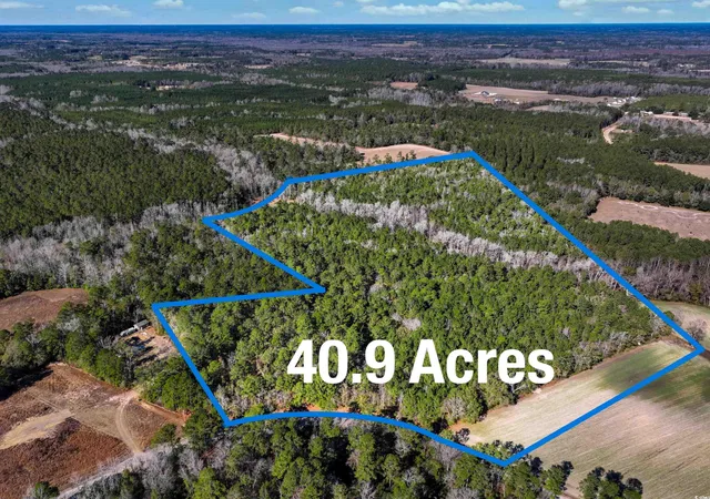 Photo 1 of Sale Pending at Tbd Sand Hl Bay Rd, Loris, SC 29569 | MLS# 2529724 | Listing updated on 2026-07-26