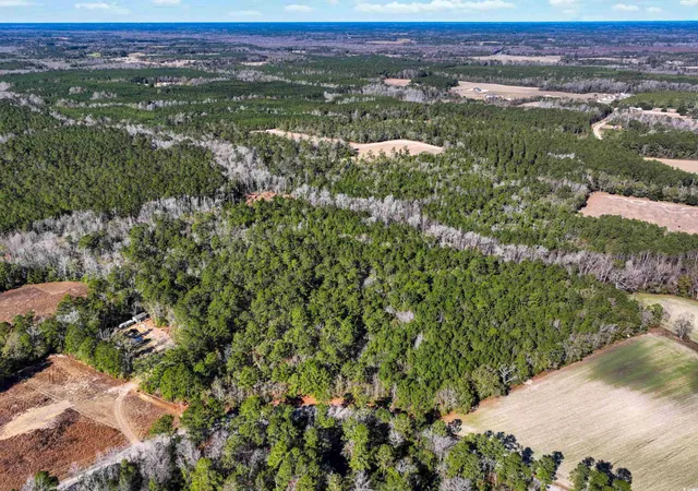 Photo 2 of Sale Pending at Tbd Sand Hl Bay Rd, Loris, SC 29569 | MLS# 2529724 | Listing updated on 2026-07-26