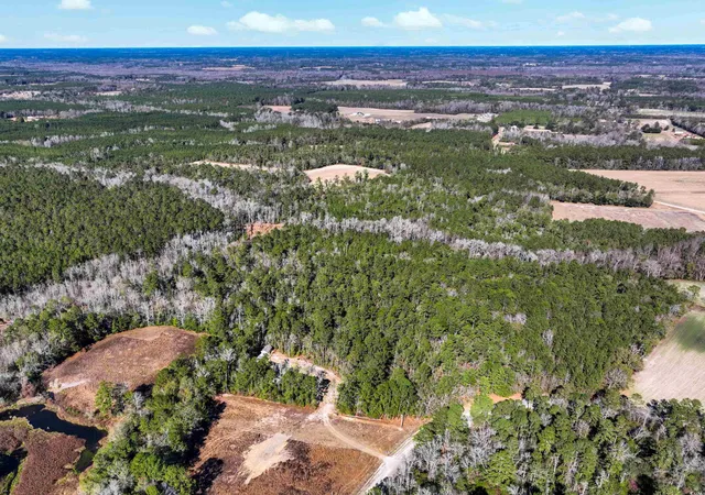 Photo 3 of Sale Pending at Tbd Sand Hl Bay Rd, Loris, SC 29569 | MLS# 2529724 | Listing updated on 2026-07-26