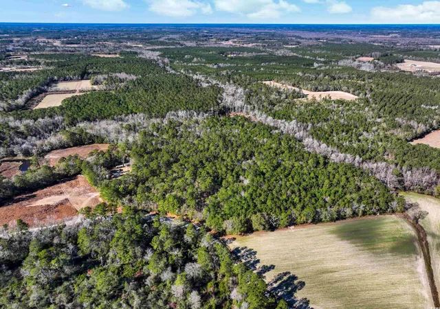 Photo 3 of Sale Pending at Tbd Sand Hl Bay Rd, Loris, SC 29569 | MLS# 2529724 | Listing updated on 2026-07-26