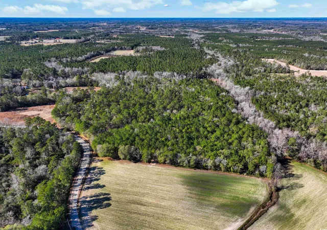 Photo 4 of Sale Pending at Tbd Sand Hl Bay Rd, Loris, SC 29569 | MLS# 2529724 | Listing updated on 2026-07-26