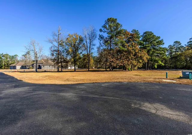 Photo 2 of Land for sale at 206 Mooney Ct, Loris, SC 29569 | MLS# 2529974 | Listing updated on 2026-04-07
