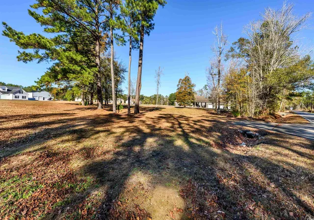 Photo 3 of Land for sale at 206 Mooney Ct, Loris, SC 29569 | MLS# 2529974 | Listing updated on 2026-04-07