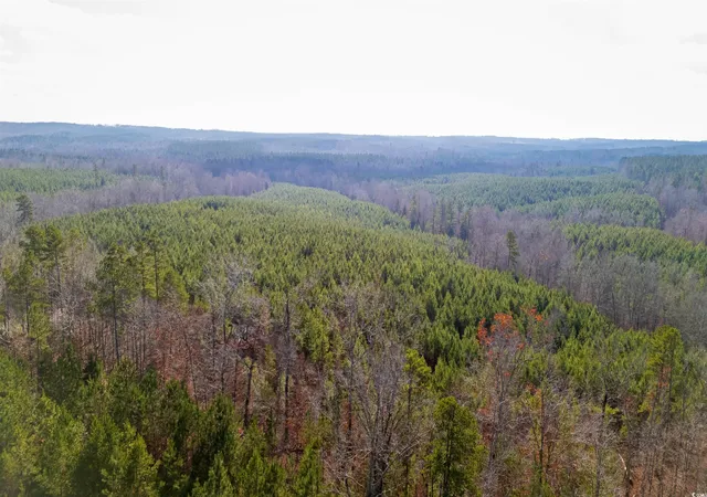 11th image of Duckwood Rd, Lancaster, SC 29720 | MLS# 2530130