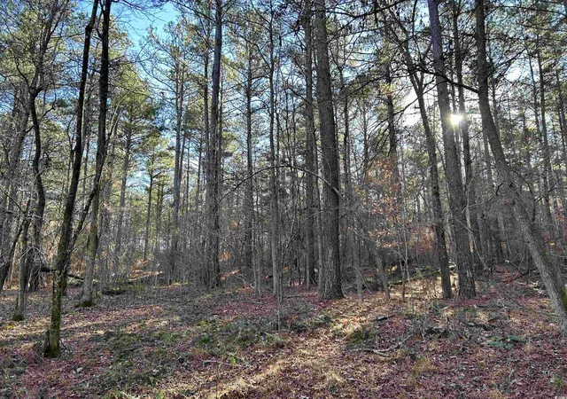 2nd image of Duckwood Rd, Lancaster, SC 29720 | MLS# 2530130