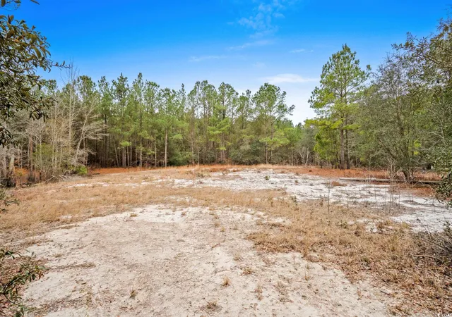Homes for sale in Galivants Ferry, SC | 108 Dero Ln, Galivants Ferry, SC 29544 | MLS# 2530152