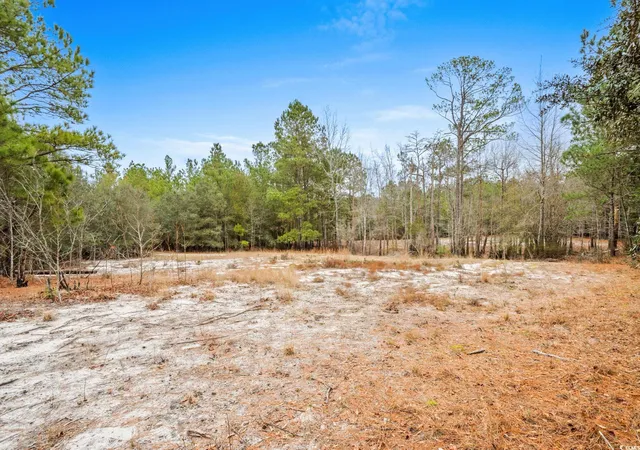 Homes for sale in Galivants Ferry, SC | 108 Dero Ln, Galivants Ferry, SC 29544 | MLS# 2530152