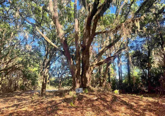 1st image of 34 Dune Oaks Dr, Georgetown, SC 29440 | MLS# 2600005