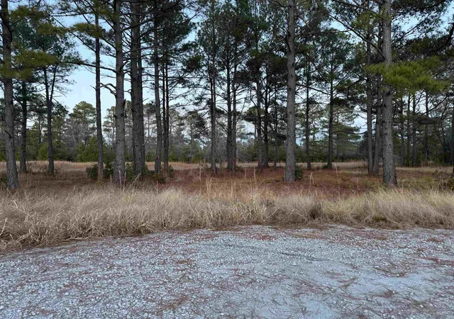 Photo 3 of Land for sale at Tbd Belland Ct, Loris, SC 29569 | MLS# 2600942 | Listing updated on 2026-07-10