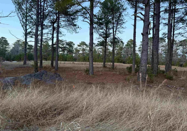 Photo 3 of Land for sale at Tbd Belland Ct, Loris, SC 29569 | MLS# 2600942 | Listing updated on 2026-07-10